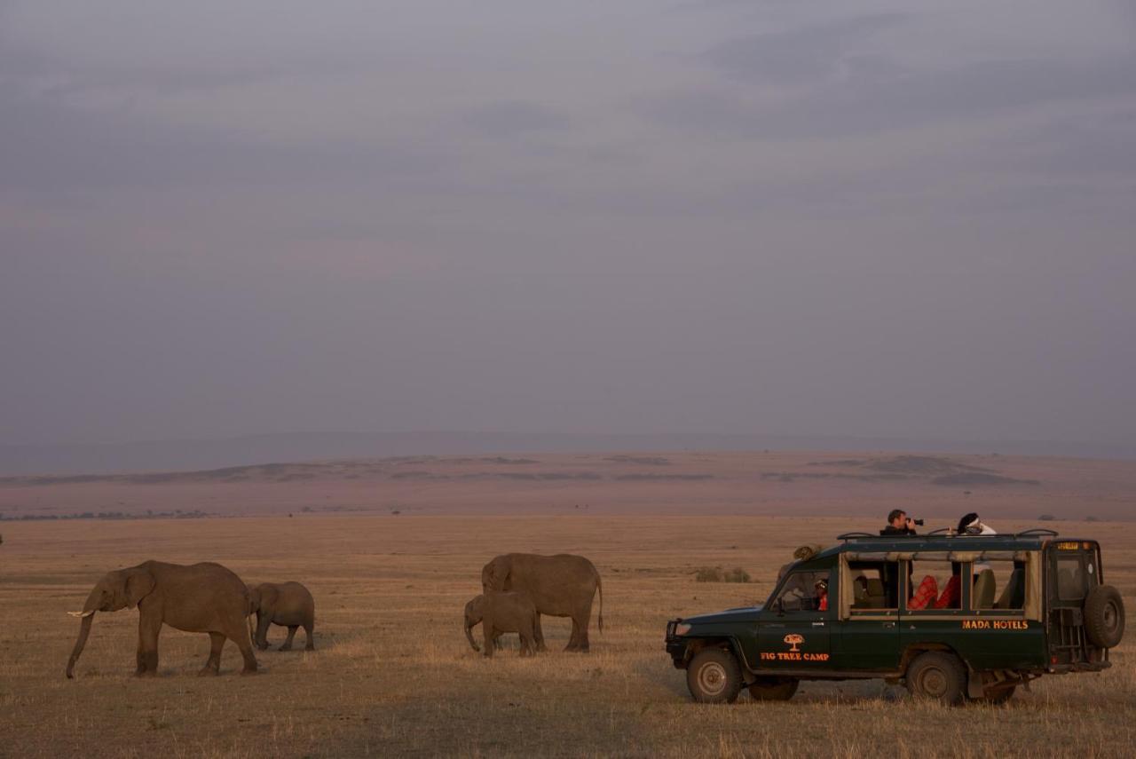 Hotel Fig Tree Camp - Maasai Mara Talek Exterior foto