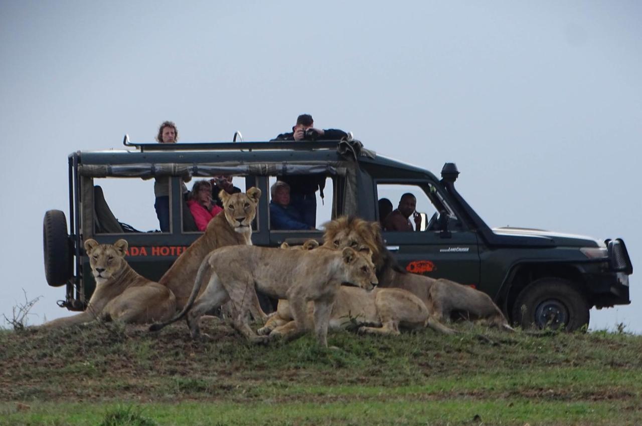 Hotel Fig Tree Camp - Maasai Mara Talek Exterior foto